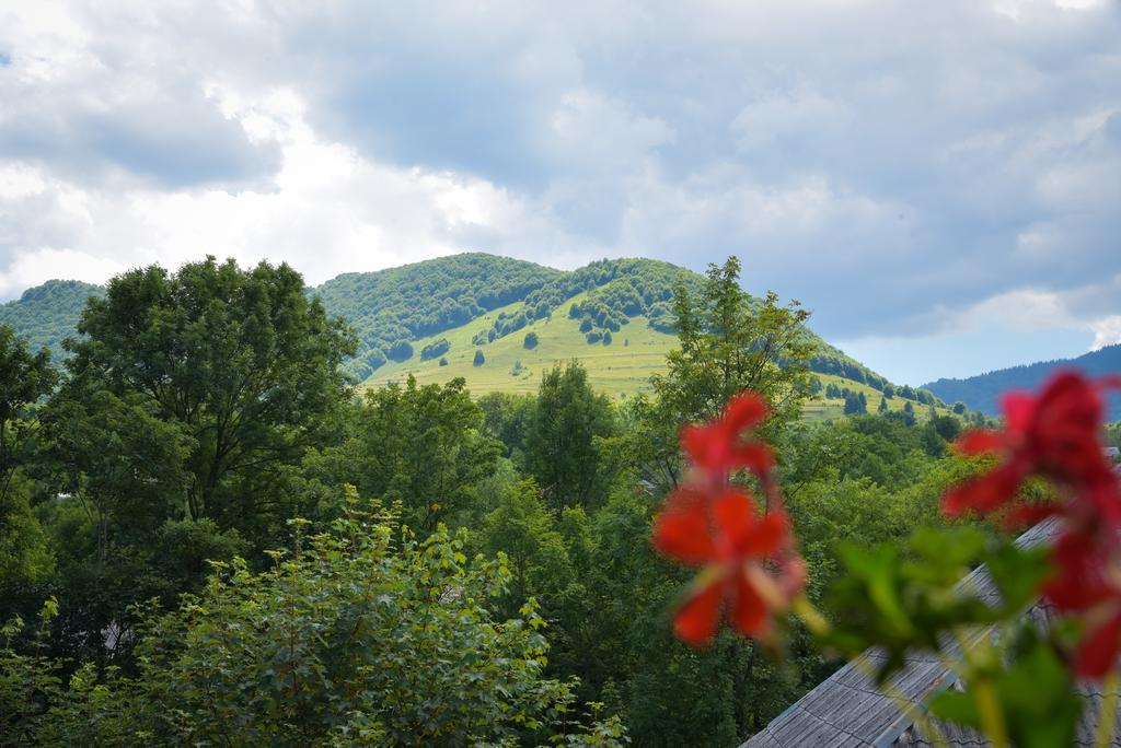 Готель Glodeanca Екстер'єр фото